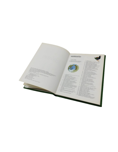 El universo de los jóvenes ¿dónde?