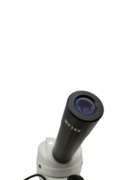 Microscopio Optika WF10X