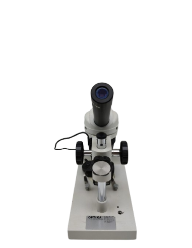 Microscopio Optika WF10X