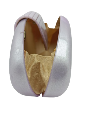 Bolso Villanueva Carey