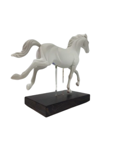 Caballo a galope LLadró (1, 2 y 4)