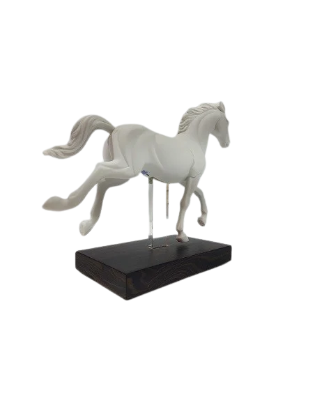 Caballo a galope LLadró (1, 2 y 4)