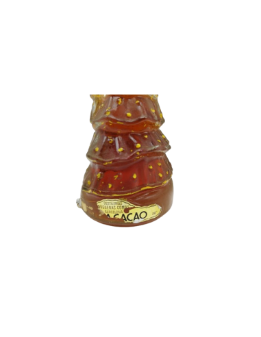 Brandy Nogueras Comas