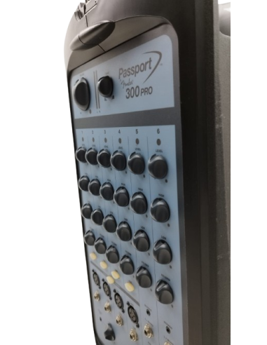 Fender Passport 300 Pro