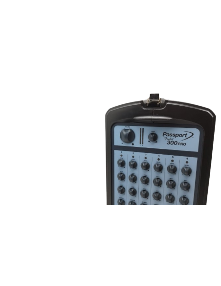 Fender Passport 300 Pro